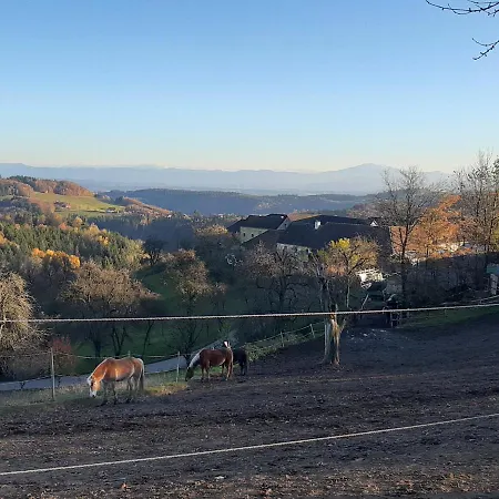 Appartement Rotheneder- Rupp *