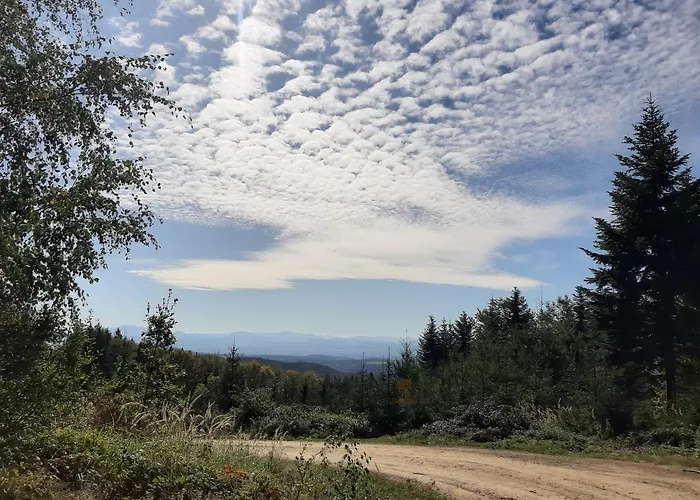 Appartement Rotheneder- Rupp