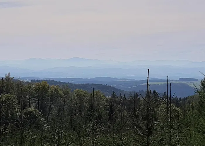 Rotheneder- Rupp Appartement *